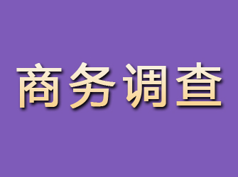 仙居商务调查